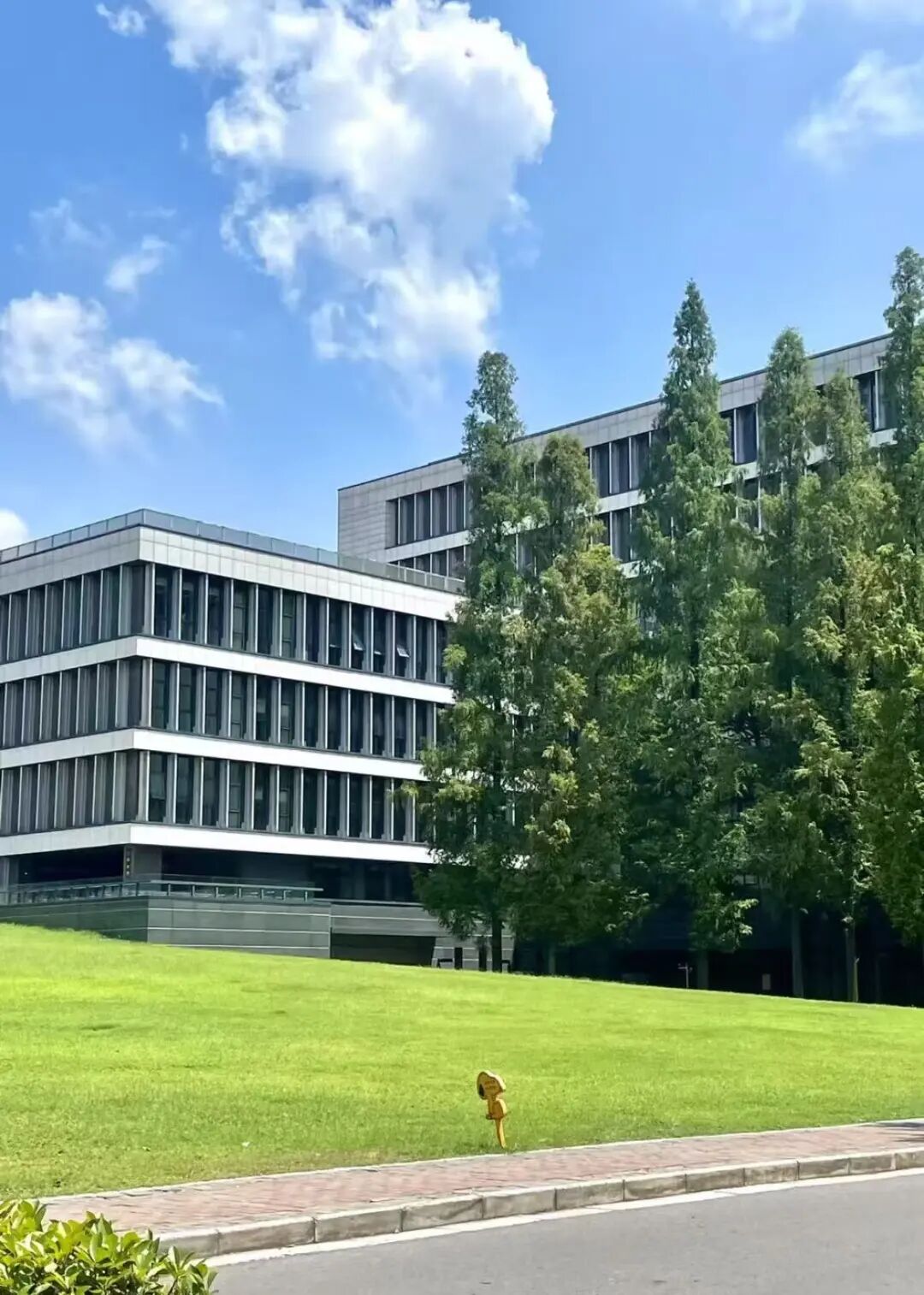 1. 新浦京电子优惠活动成立: